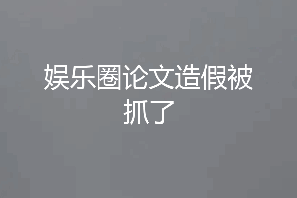 娱乐圈论文造假被抓了