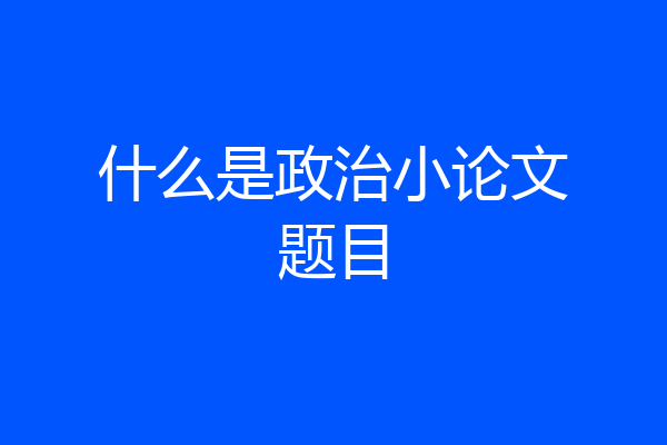 什么是政治小论文题目