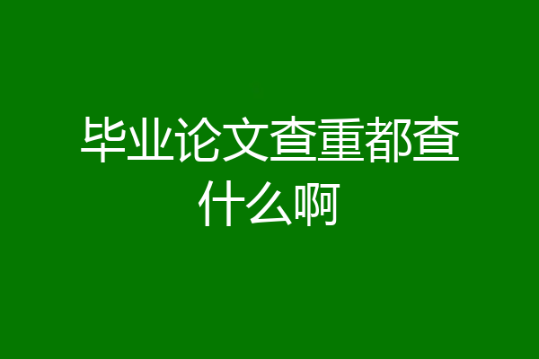 毕业论文查重都查什么啊
