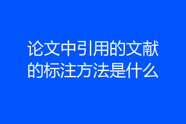 论文中引用的文献的标注方法是什么