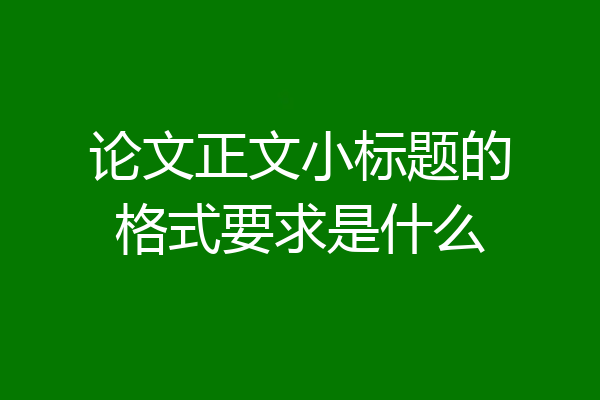 论文正文小标题的格式要求是什么