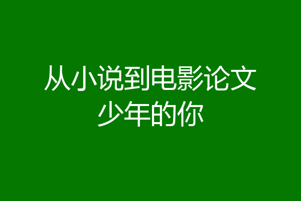 从小说到电影论文少年的你