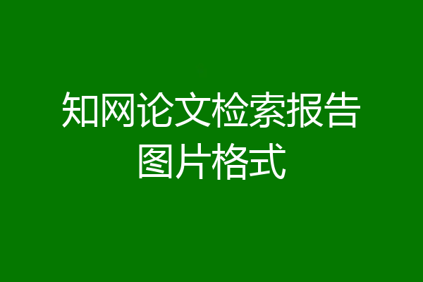 知网论文检索报告图片格式