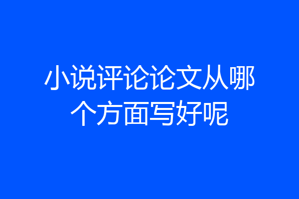 小说评论论文从哪个方面写好呢