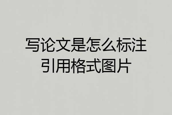 写论文是怎么标注引用格式图片