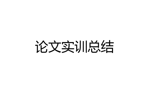 论文实训总结
