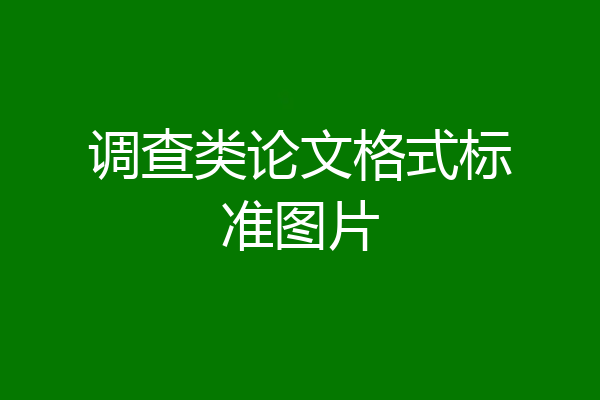 调查类论文格式标准图片