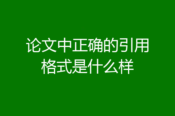 论文中正确的引用格式是什么样