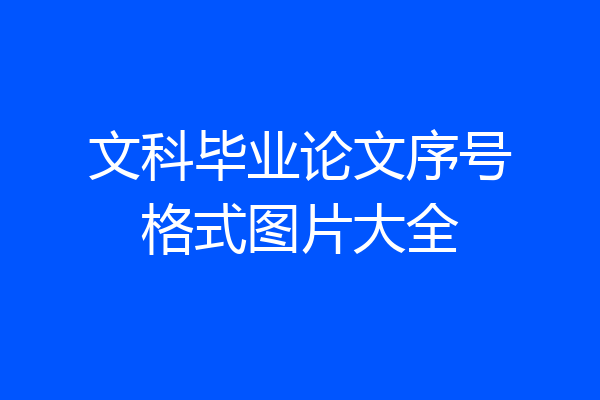 文科毕业论文序号格式图片大全