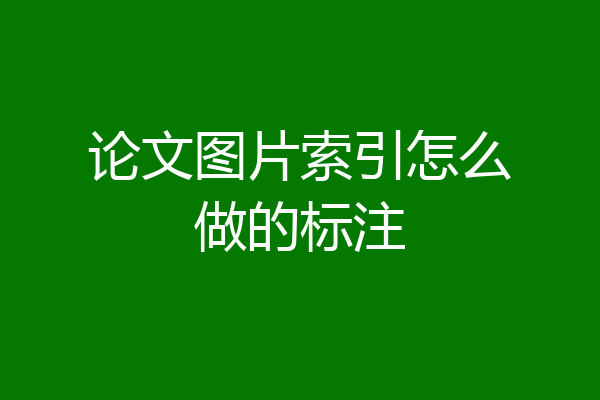 论文图片索引怎么做的标注