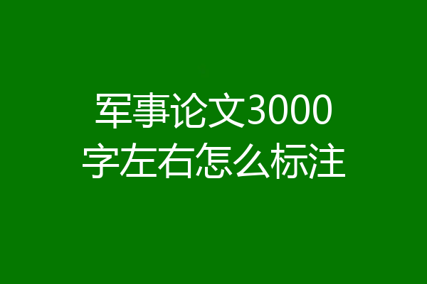 军事论文3000字左右怎么标注