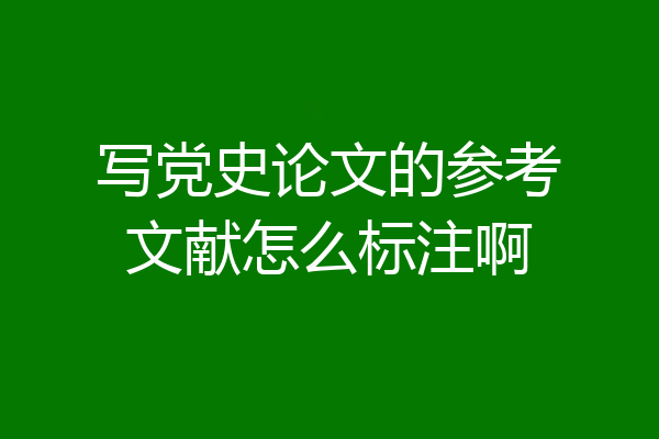 写党史论文的参考文献怎么标注啊