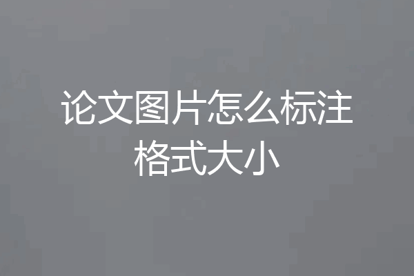 论文图片怎么标注格式大小