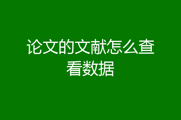 论文的文献怎么查看数据