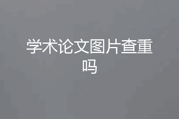 学术论文图片查重吗