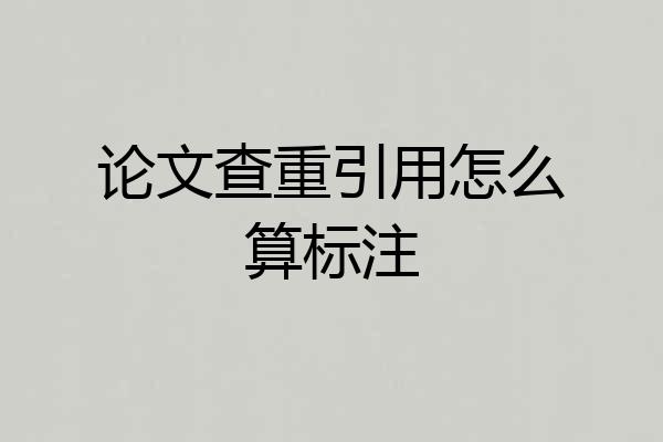 论文查重引用怎么算标注