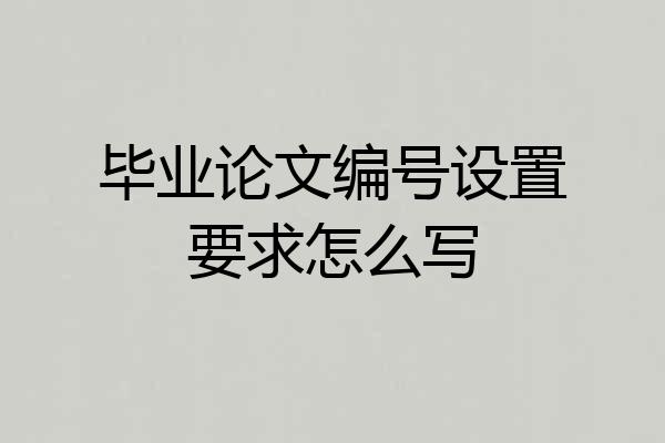 毕业论文编号设置要求怎么写