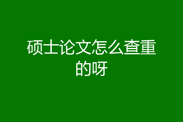 硕士论文怎么查重的呀