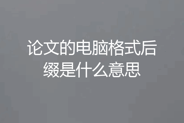 论文的电脑格式后缀是什么意思