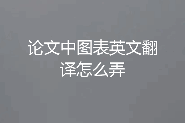 论文中图表英文翻译怎么弄