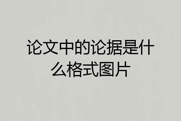 论文中的论据是什么格式图片