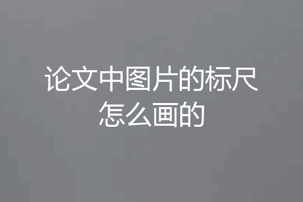 论文中图片的标尺怎么画的