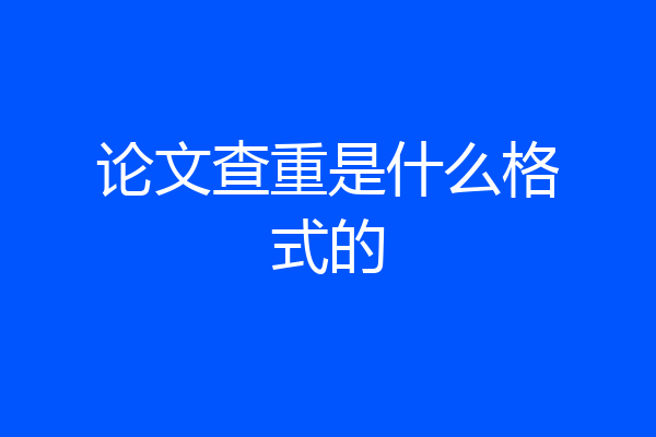 论文查重是什么格式的