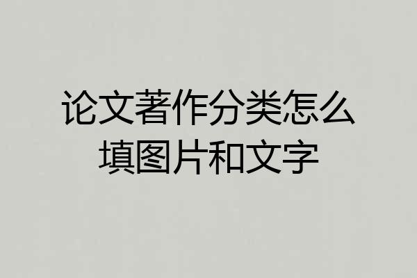 论文著作分类怎么填图片和文字