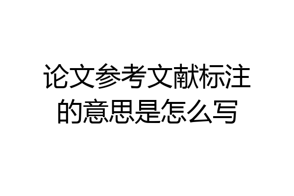 论文参考文献标注的意思是怎么写