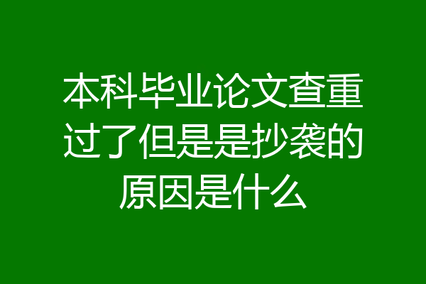 本科毕业论文查重过了但是是抄袭的原因是什么