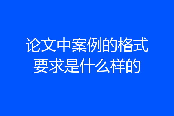 论文中案例的格式要求是什么样的