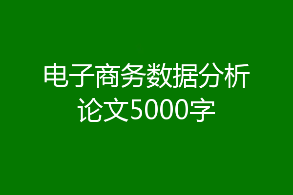电子商务数据分析论文5000字