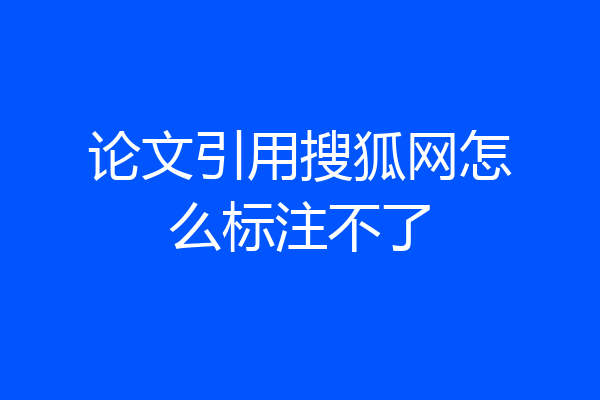论文引用搜狐网怎么标注不了