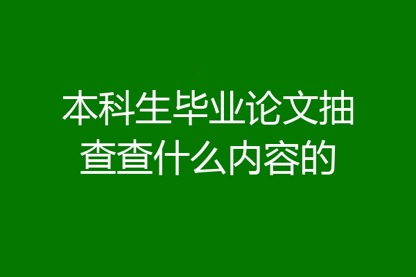 本科生毕业论文抽查查什么内容的