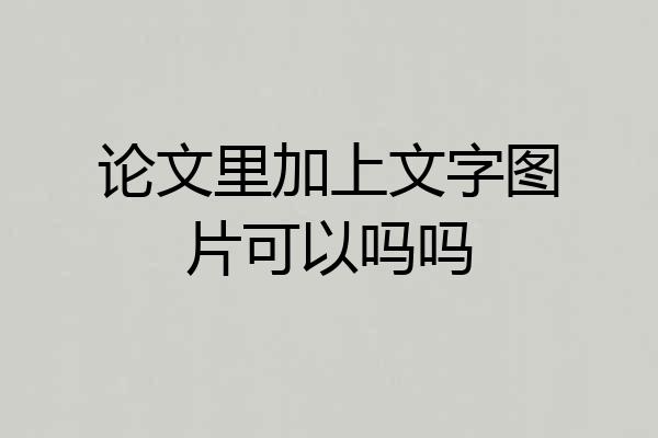 论文里加上文字图片可以吗吗