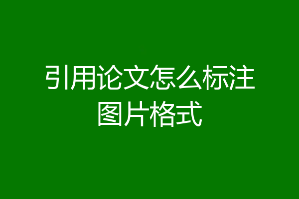 引用论文怎么标注图片格式