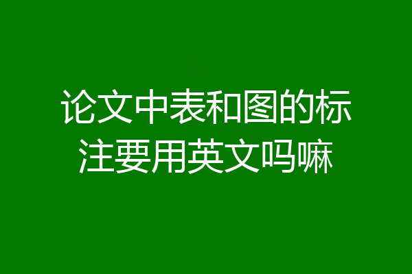 论文中表和图的标注要用英文吗嘛