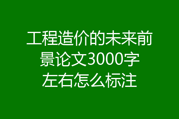 工程造价的未来前景论文3000字左右怎么标注