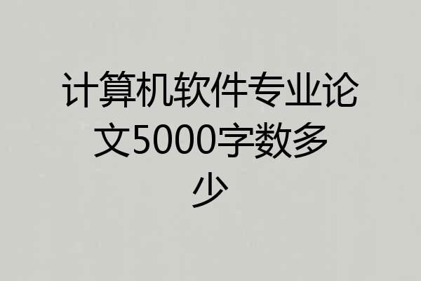计算机软件专业论文5000字数多少