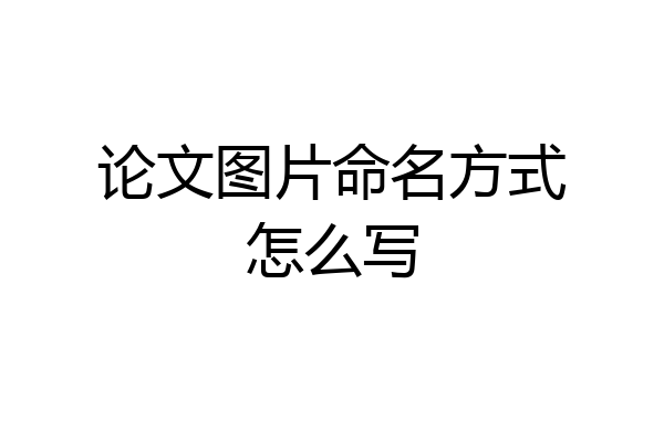 论文图片命名方式怎么写