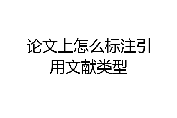 论文上怎么标注引用文献类型