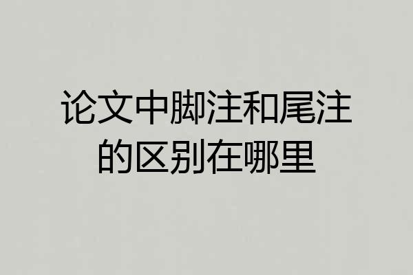 论文中脚注和尾注的区别在哪里