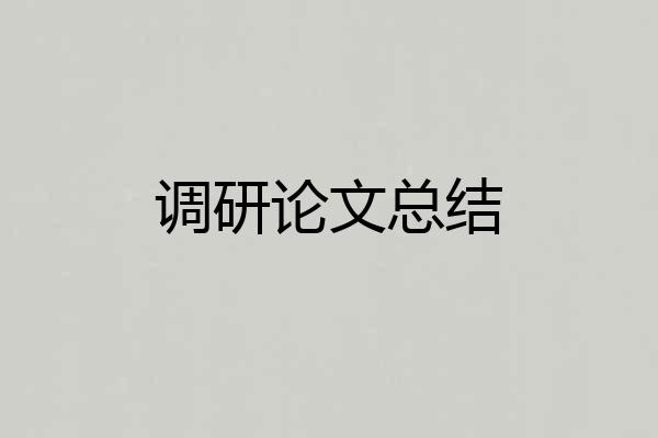 调研论文总结