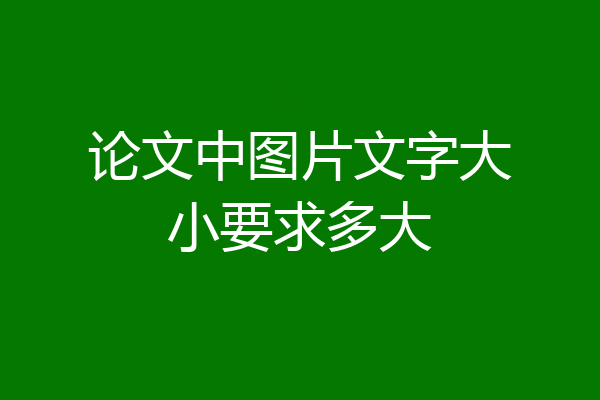 论文中图片文字大小要求多大