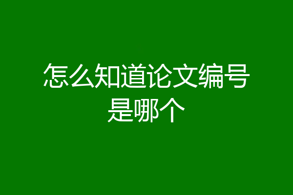 怎么知道论文编号是哪个