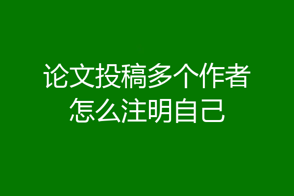 论文投稿多个作者怎么注明自己