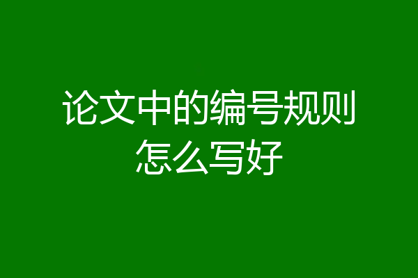 论文中的编号规则怎么写好