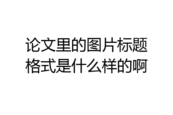 论文里的图片标题格式是什么样的啊