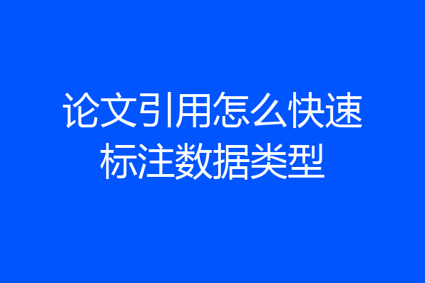 论文引用怎么快速标注数据类型
