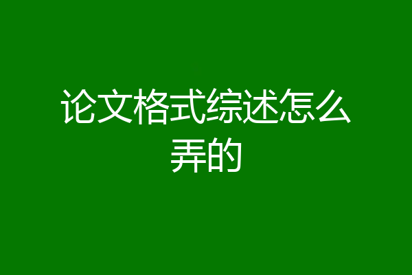 论文格式综述怎么弄的